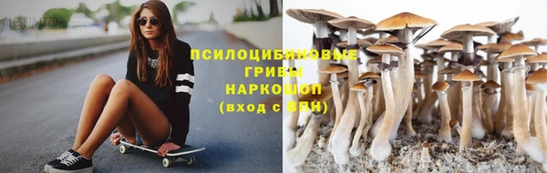 амф Инсар