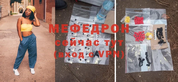 индика Тавда