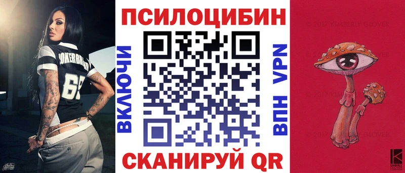 Псилоцибиновые грибы Cubensis Буй